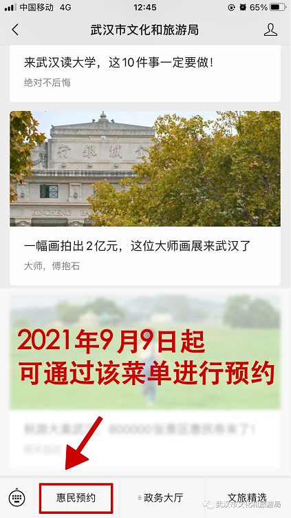 2021武汉乡村旅游惠民券什么时候预约3