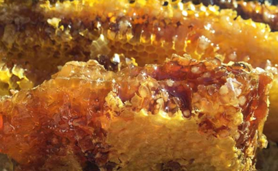 正宗的蜂蜜是什么颜色的