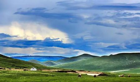 2022五一内蒙古草原绿了吗2