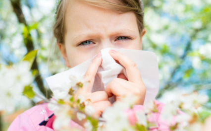 秋季|秋季花粉过敏是什么花粉