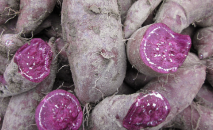 紫薯水煮多少分钟熟2
