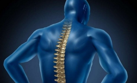 女性后背脊椎中间疼与更年期有关吗3