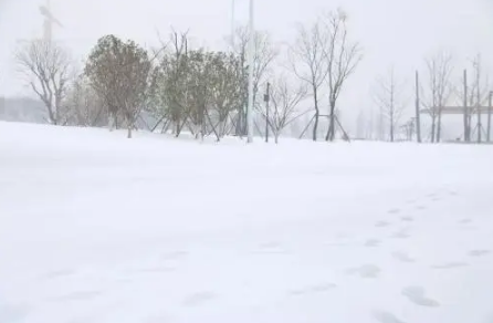 快遞會因為暴雪天氣停運嗎3