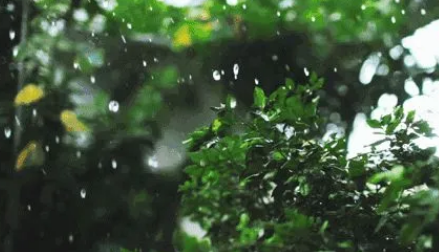 梅雨季节|2022年梅雨期有多少天