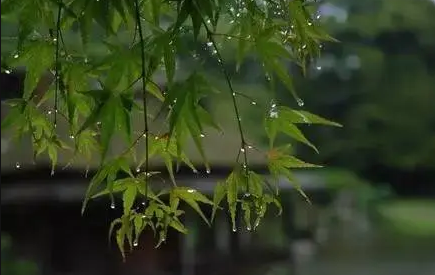 2022苏州梅雨季节什么时候开始1