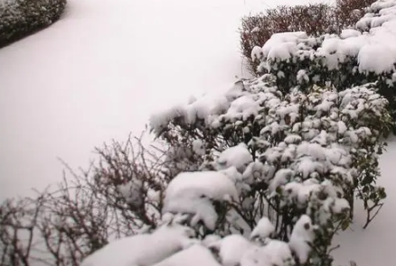 2021大雪節(jié)氣北方會下大雪嗎1