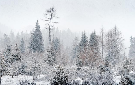 2022大雪節(jié)氣不下雪來年是干旱年嗎3