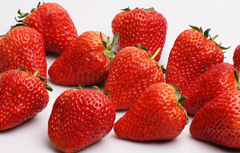 丹东99草莓是四季吗2