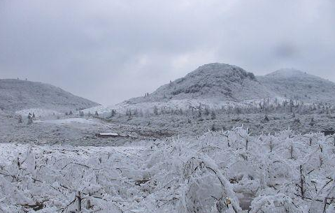 2008年雪災(zāi)多恐怖2