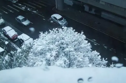 2022年南京过年下雪吗1