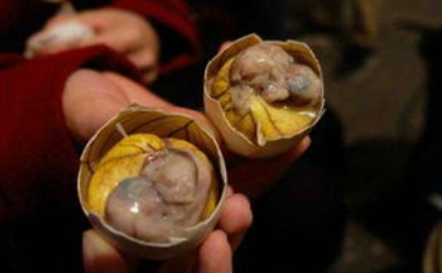 卵巢早衰可以吃活珠子吗