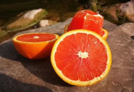 血橙会不会越放越红一般还未全熟的时候就摘下了