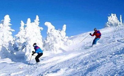滑雪場人造雪是什么材料