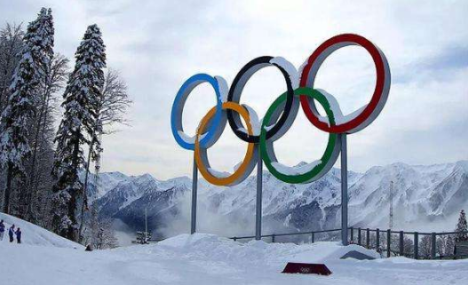 2022北京冬奥会有国外观众吗2