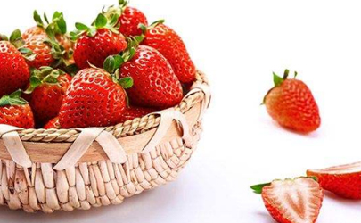 吃草莓会导致得出血热真的假的