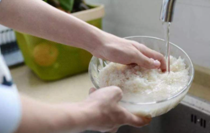 淘米水|淘米水发酵是什么肥料