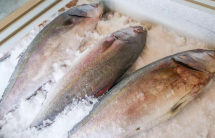 冷冻鱼保水剂有毒吗