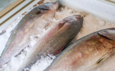 冷凍魚保水劑有毒嗎
