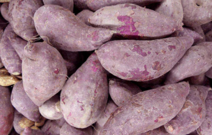 紫薯有点生可以吃吗1