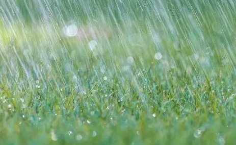 2022年厦门雨季一般是几月份3