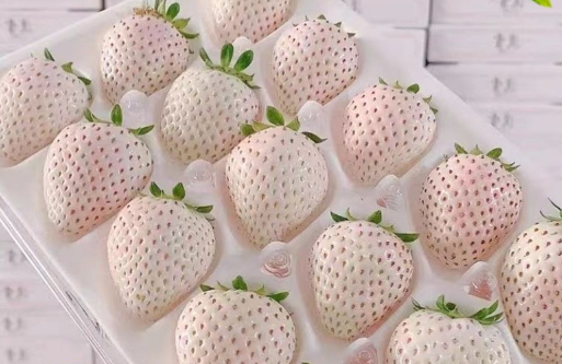 白色草莓好吃还是红色草莓好吃1