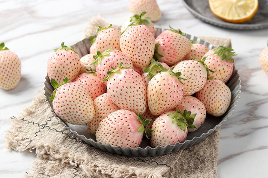 白色草莓和红色草莓哪个贵1