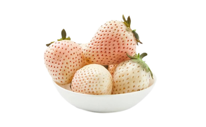 白色草莓是什么品种