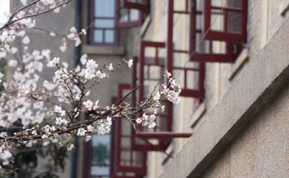 武汉大学樱花3月20日好约吗2022