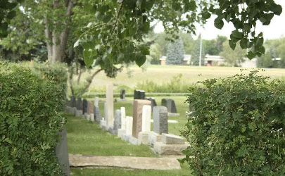 2022清明节能选墓地吗