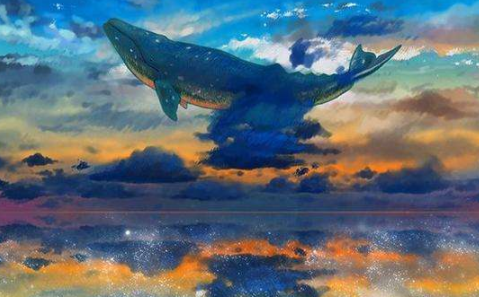 为什么说鲸鱼一生孤独1