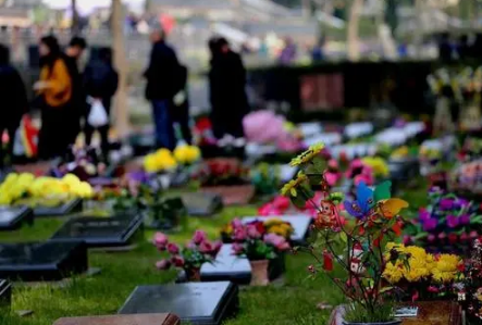 2022南京清明节上坟一个墓地可以预约几个人2