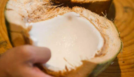 椰子|椰子椰肉硬的可以吃吗