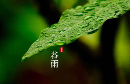 谷雨節(jié)氣會(huì)有春雷嗎3