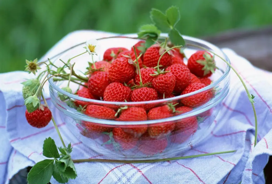 草莓先红尖先红后面很多人都喜欢吃草莓