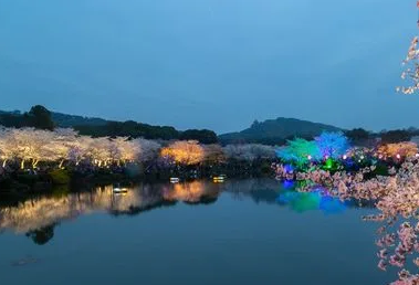武汉东湖夜樱几点开灯20222