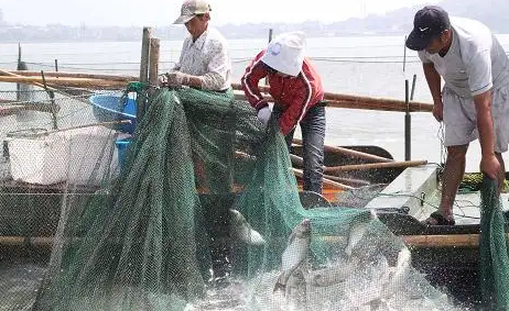 国家有没有规定禁止钓鱼20222