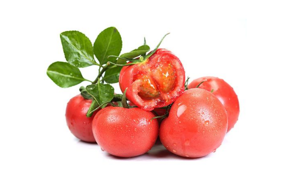 普罗旺斯番茄是水果番茄吗2