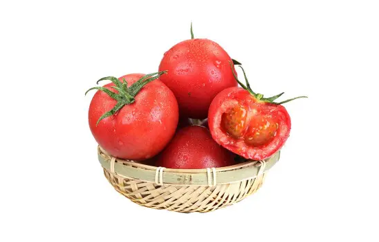 普罗旺斯西红柿和普通西红柿怎么区分