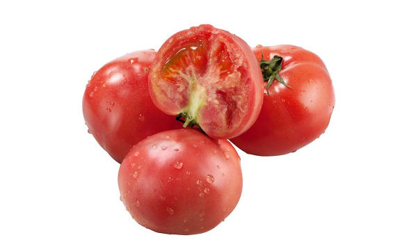 普罗旺斯西红柿是转基因食品吗1