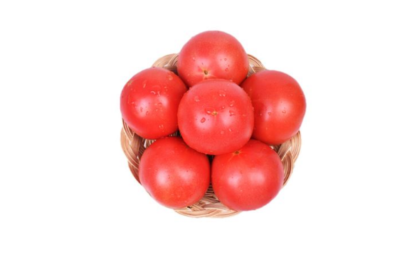普罗旺斯西红柿是转基因食品吗3