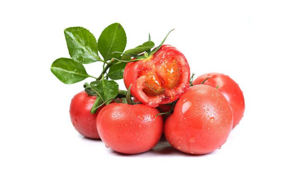 普罗旺斯西红柿和普通西红柿营养一样吗3