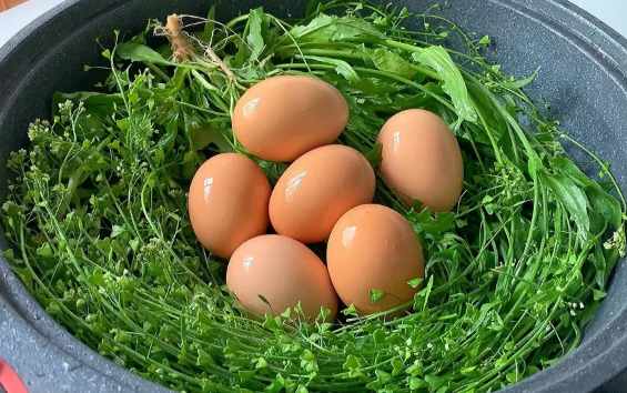 清明节|清明节用什么草煮鸡蛋