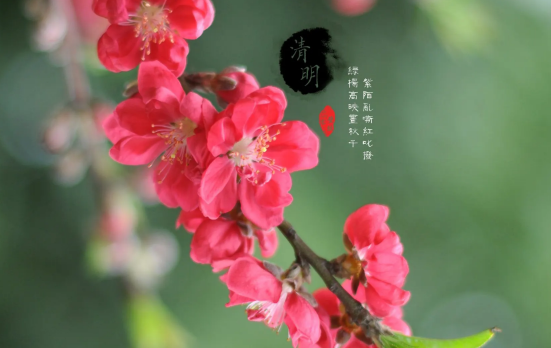 清明節(jié)上墳燒大香好還是小香好3