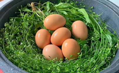 清明节用什么草煮鸡蛋