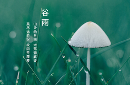 谷雨這天可以動(dòng)針線嗎3