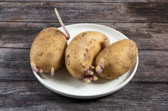 土豆|土豆发芽去掉芽剩下的可以吃吗