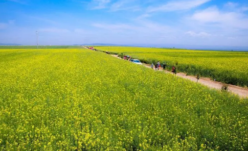 2022年夏季比2021年夏季熱嗎2