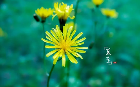 夏至下雨三伏天熱嗎2