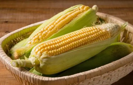 玉米是新鲜存放还是煮熟存放2