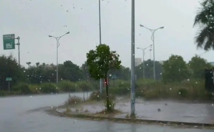 2022年夏天為什么老下雨2